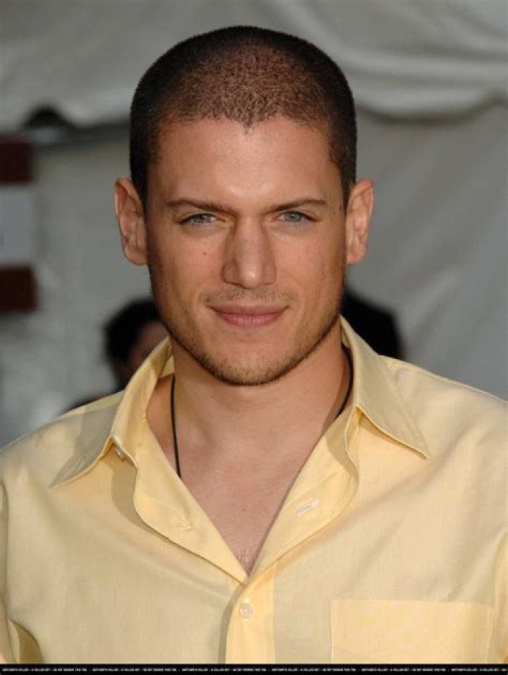 
How Much Money Does Wentworth Miller Make? Latest Income Salary
