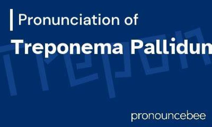 How to pronounce treponema pallidum