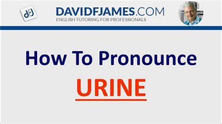 How to pronounce urine