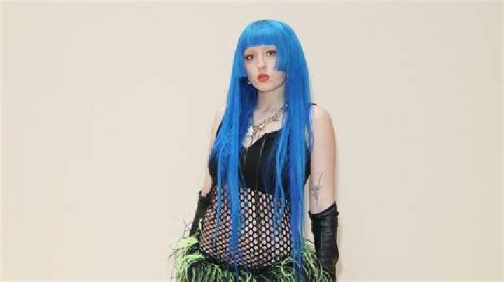 Is Ashnikko Gay? Details On The Sexuality Of The Singer