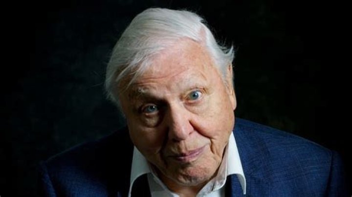 Is David Attenborough a vegetarian?