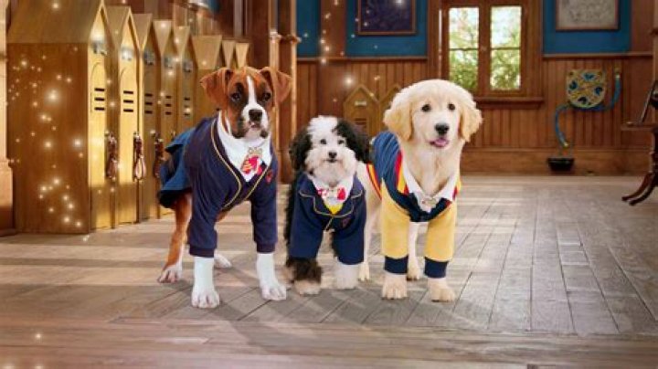 Is dude from descendants in pup Academy? – Celebrity