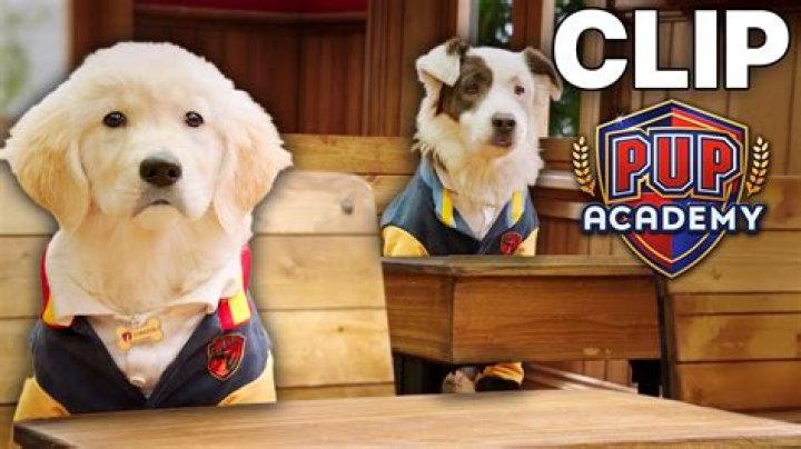 Is dude in pup Academy? – Celebrity
