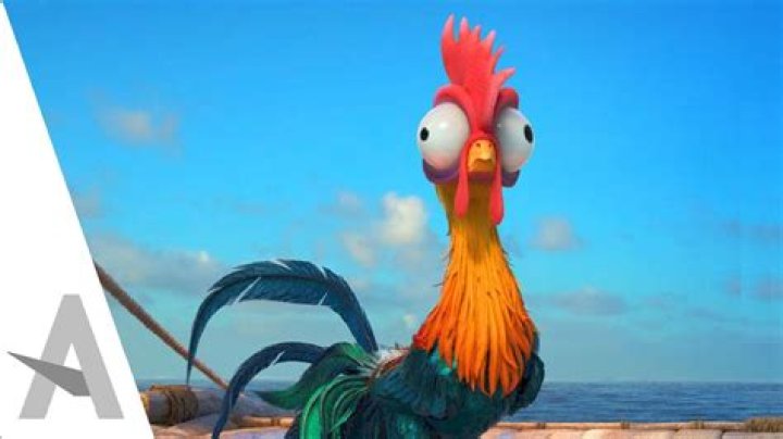 Is Hey hey a chicken or a rooster? – Celebrity