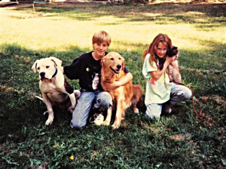 Is Homeward Bound based on a true story? – Celebrity