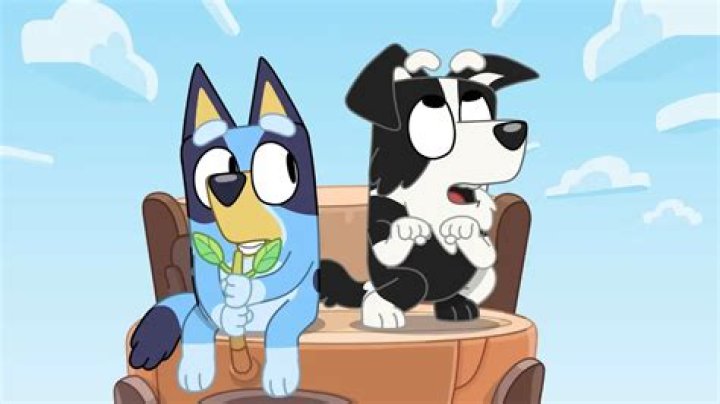 Is Mackenzie A Girl Or Boy In Bluey? – Celebrity