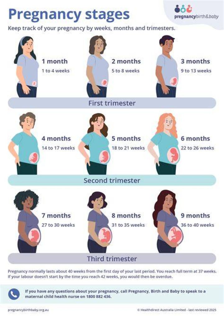 Is Michelle Bogowith Pregnant? Facts And Rumors About Her Pregnancy