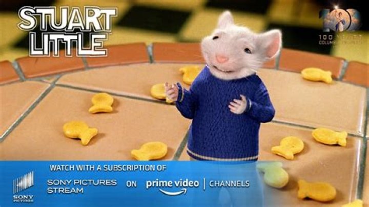 Is Stuart Little a mouse or a rat? – Celebrity