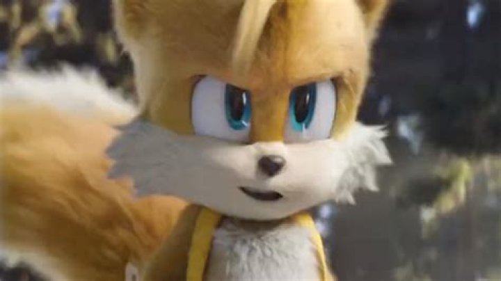 Is Tails a boy or girl in ‘Sonic The Hedgehog 2?’