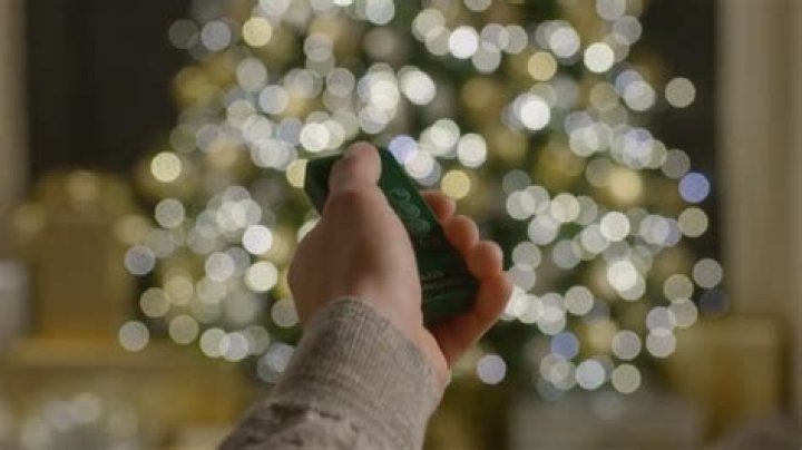 ‘It is worth the buy’: The viral TikTok Christmas tree, explained