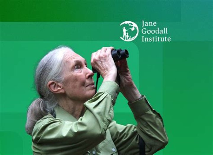 Jane Goodall Bio-Wiki, Age, Husband, Son, The hope Documentary, Quotes, Books, Facts and Awards.