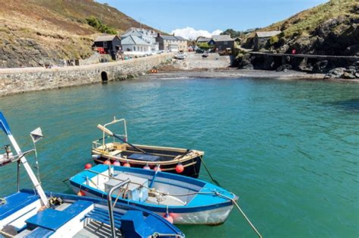 Jelson Bay Height: 10 Facts on Finding Agnes Star