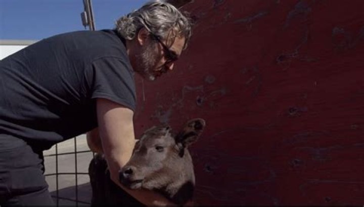 Joaquin Phoenix Turns His Words Into Action As He Rescues Cow & Calf From Slaughterhouse