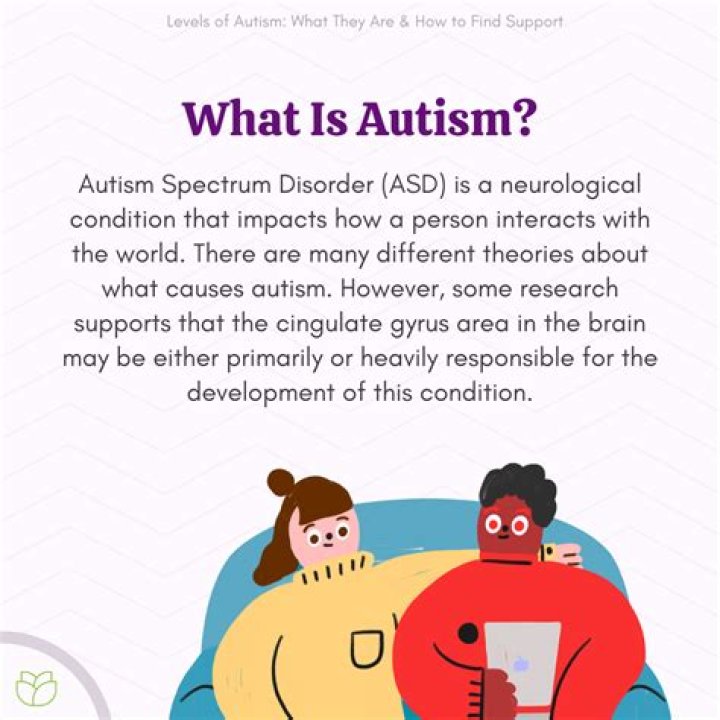 Joey Cartagena disability: Fat Joe son’s autism explained