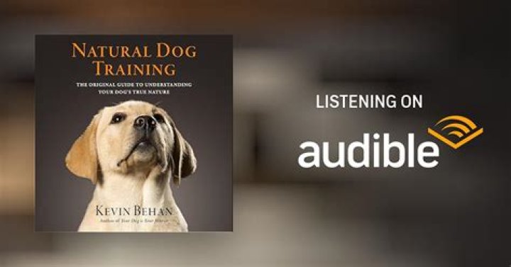 Kevin Behan, Author at We Got This Covered