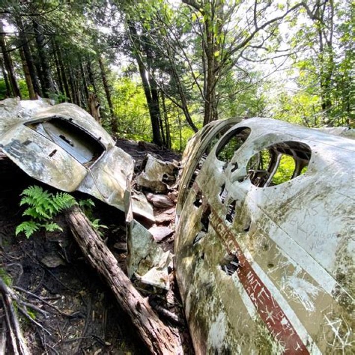 Lake Forest Plane Crash Update, Who Is Kylie Murray?