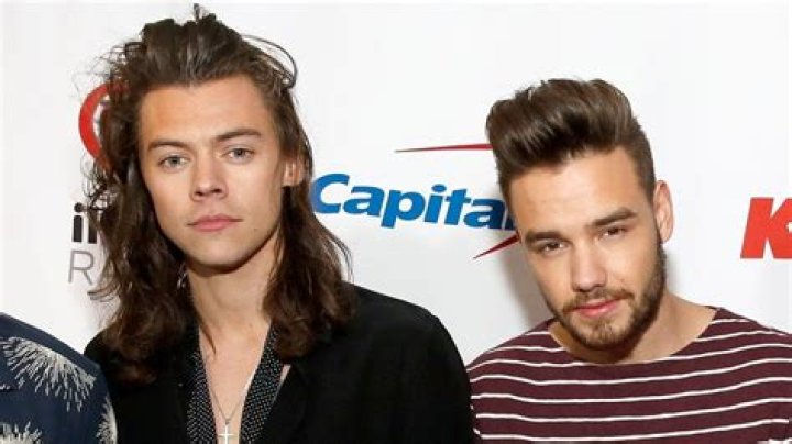 Liam Payne Congratulates Harry Styles After Getting This Huge Achievement!