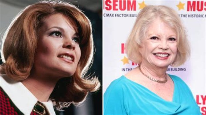 Linda Kaye Henning Bio, Wiki, Age, Height, Parents, Husband, Actress, Happy Days, and Net Worth