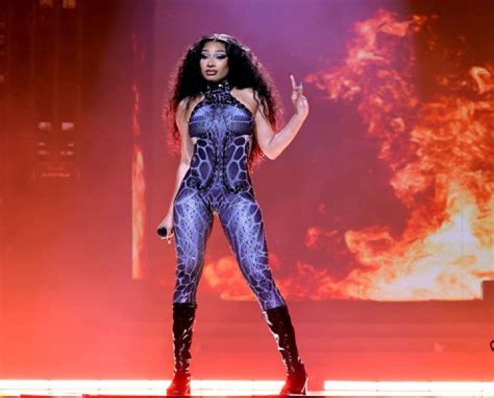 Megan Thee Stallion Rocks The Internet As Sexy Pinhead