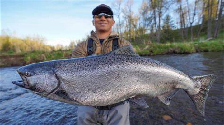 Michael Cerrato, PA – White Salmon, WA