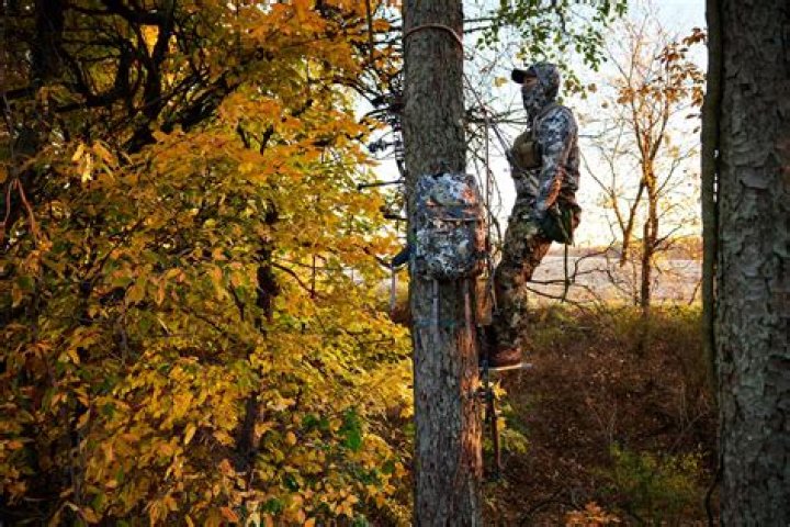 Michael S. Rinaldo dies from tree stand fall while hunting in N.Y. with his Dad.
