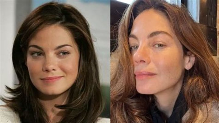 Michelle Monaghan Plastic Surgery Before and After