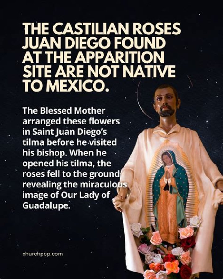 Missing Jose Guadalupe Arevalo Found Dead
