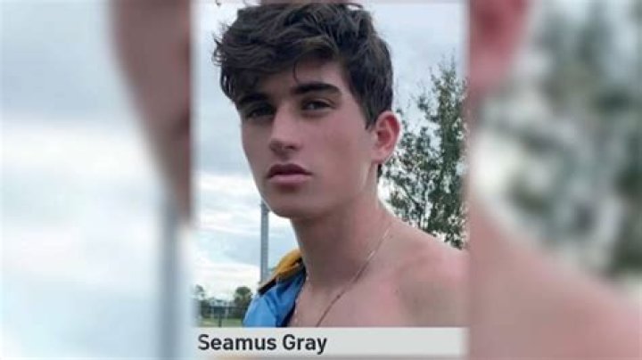 Missing Seamus Gray Found Dead, Autopsy Report Reveals
