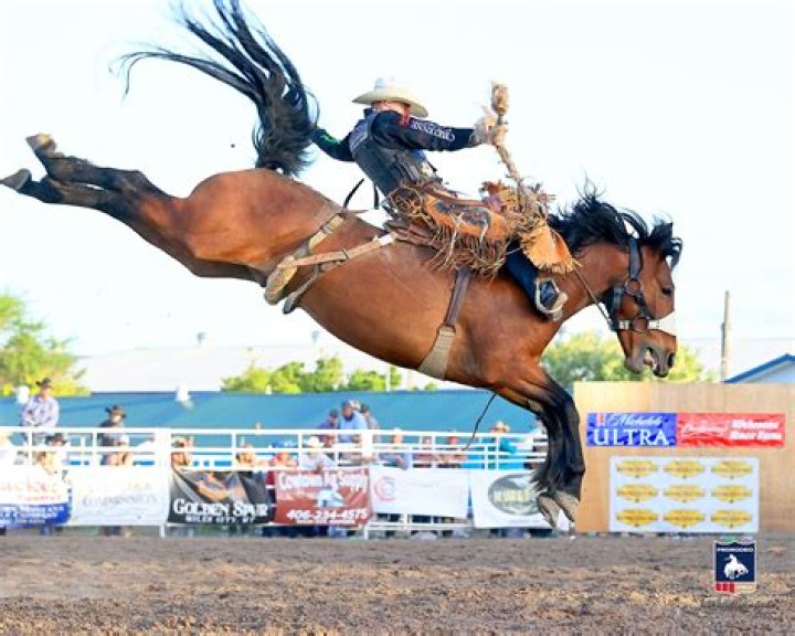 NFR: Who Is Wade Sundell? Age Wife & Injury Video Explored