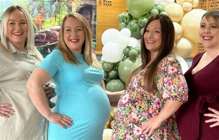 Nikki And Brie Bella Are Pregnant At The Same Time!