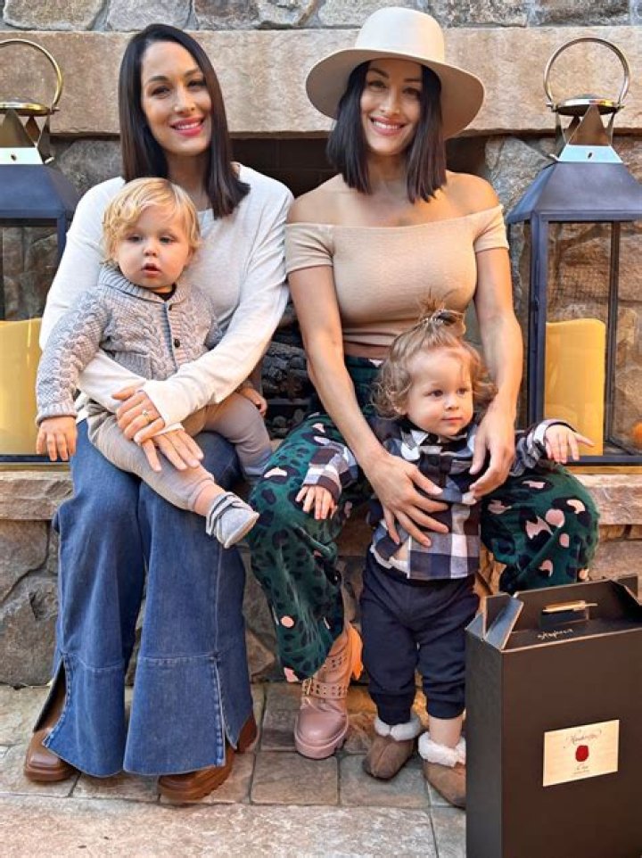Nikki And Brie Bella Posts Adorable Pics With Their Baby Boys!