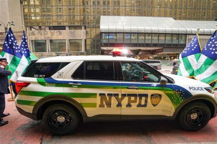 Olivia Munn Thanks The New York Police Department For Returning Her Lost Dog