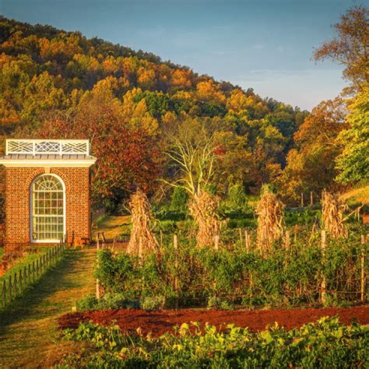 Parrisa Rupe, PA – Wytheville, VA