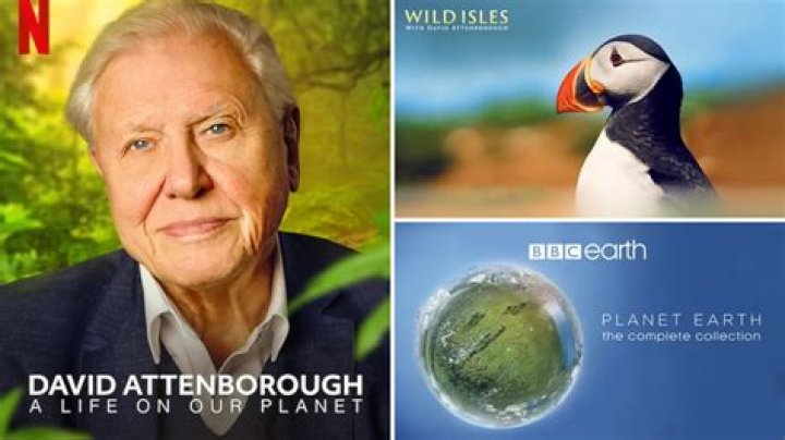 Pedro Pascal to become a sexy David Attenborough, will narrate new wildlife docuseries