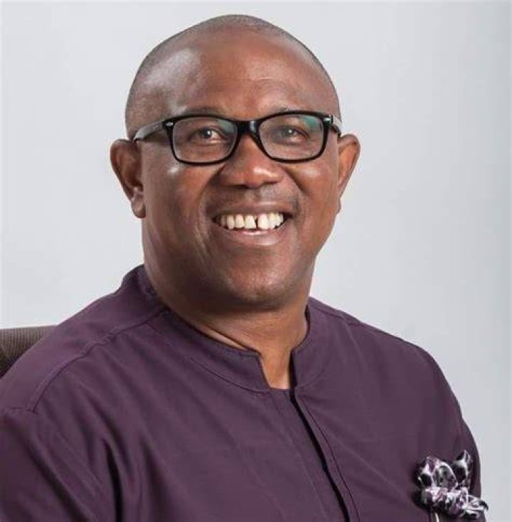 Peter Obi Biography: Wife, News, Age, Cars, Net Worth, House, Campaign, Contact Number, Party, Presidential Ambition, Children, Daughter, Wikipedia