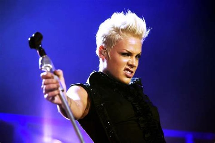 Pink Slams The ‘Keyboard Warriors’ Offended By Her ‘Polarizing Opinions’ In Savage Post