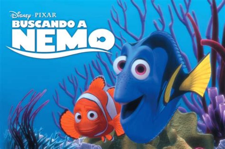 ¿Por qué se llama Buscando a Nemo? – Celebrity
