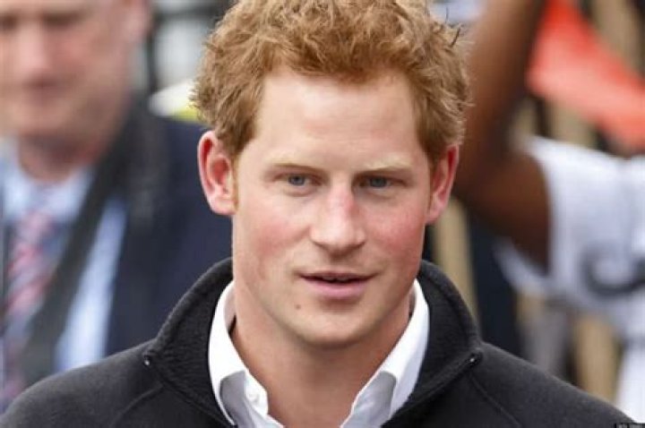 Prince Harry Spoke With Disney’s Bob Iger And Offered Meghan Markle’s Voice-Over Skills