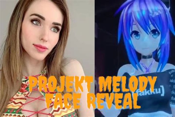 Projekt Melody Face Reveal – Age Wikipedia and Instagram