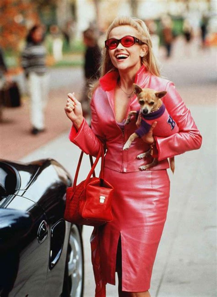 Reese Witherspoon in Bunny Costume Goes "Legally Blonde" For Halloween — Celebwell