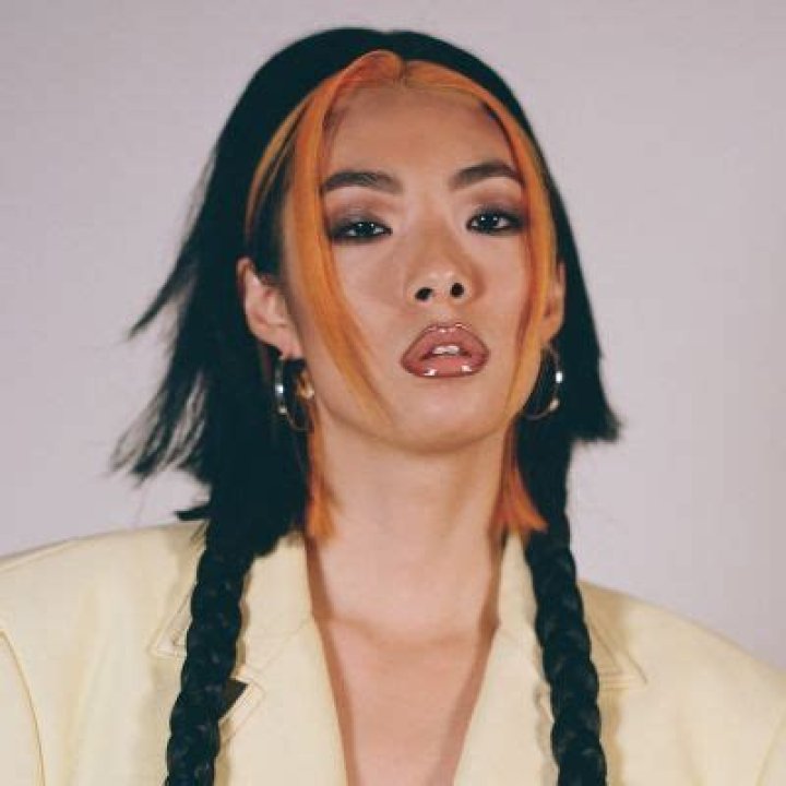 Rina Sawayama Family: Who Is Her Mother, Noriko Sawayama? Parents And Net Worth
