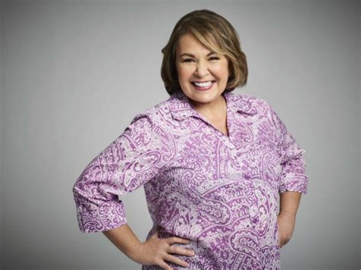 Roseanne Barr Flirts With Newly Single Kanye West Alongside Bathing Suit Pics!