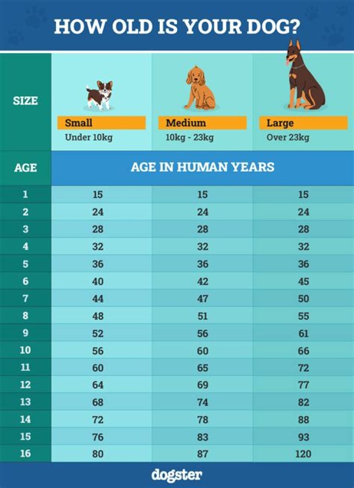 Saedemario Real Name Age: How Old Is Saedemario?