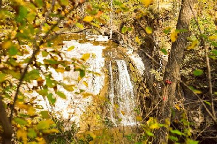 Scott Nelson – Redwood Falls, MN