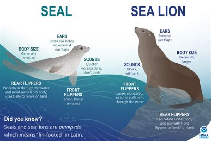 Seal house: Where does Seal live?