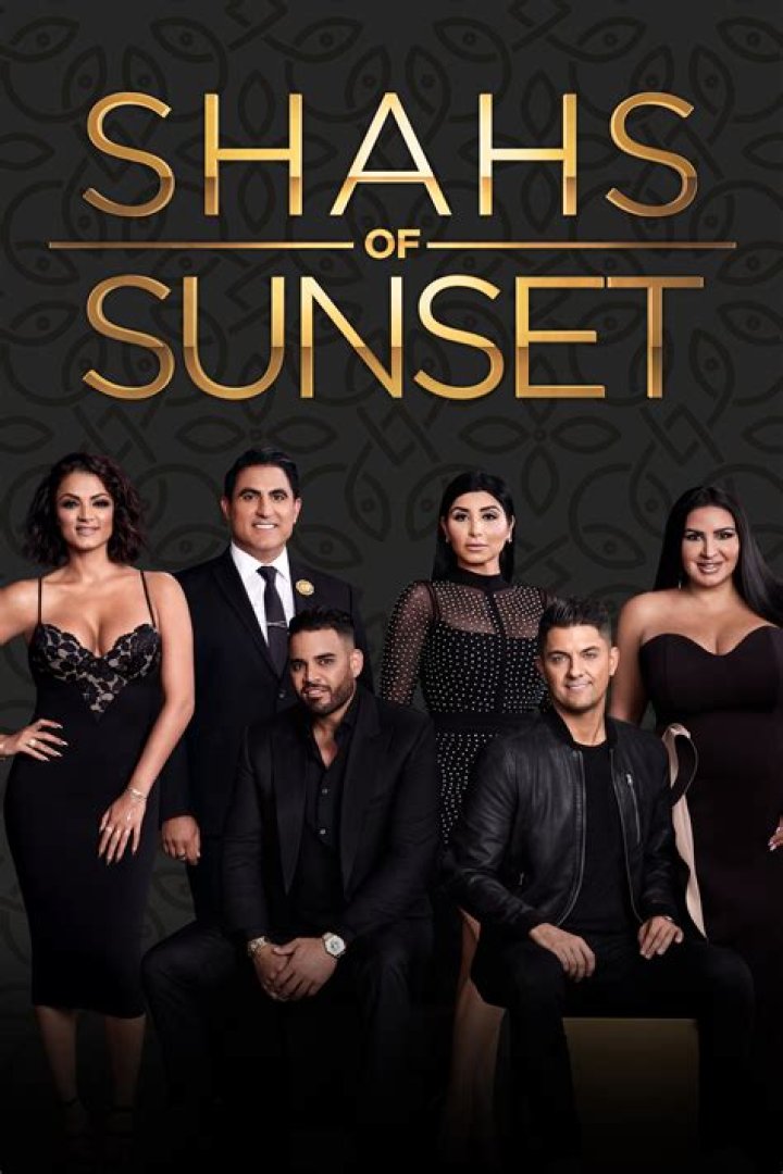 Shahs of Sunset Mike charged with domestic