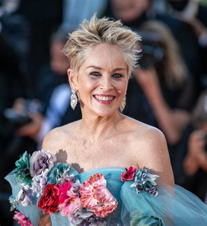 Sharon Stone IQ: What is Sharon Stone’s IQ and how high is it?
