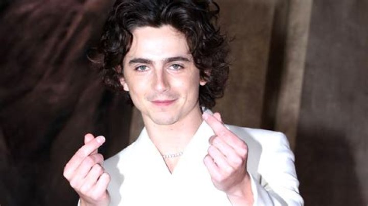 Slytherin Is Trending Because Of Timothée Chalamet