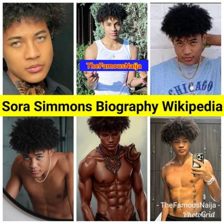 Sora Simmons Biography - Facts, Childhood, Family Life & Achievements