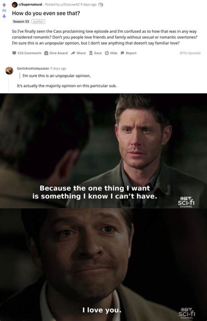Supernatural Star Confirms Destiel Is Canon